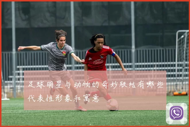 足球明星与动物的奇妙联结有哪些代表性形象和寓意