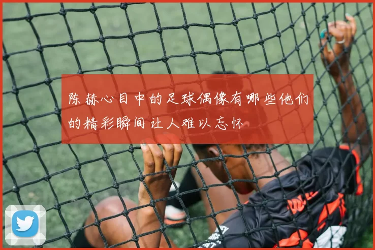 陈赫心目中的足球偶像有哪些他们的精彩瞬间让人难以忘怀