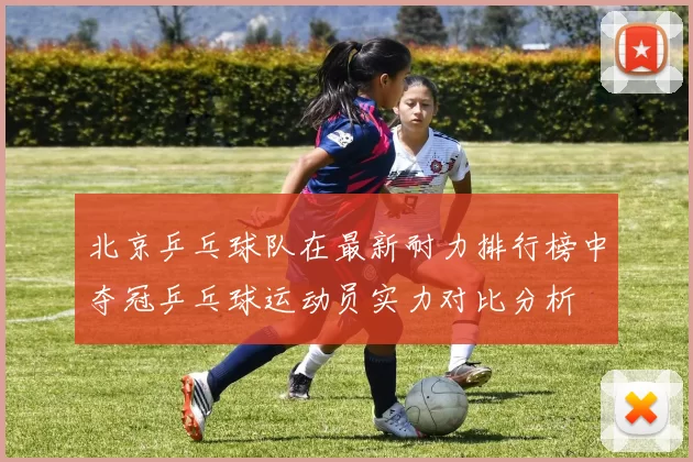 北京乒乓球队在最新耐力排行榜中夺冠乒乓球运动员实力对比分析