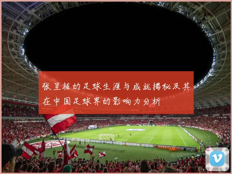 张呈栋的足球生涯与成就揭秘及其在中国足球界的影响力分析
