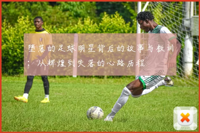 堕落的足球明星背后的故事与教训：从辉煌到失落的心路历程