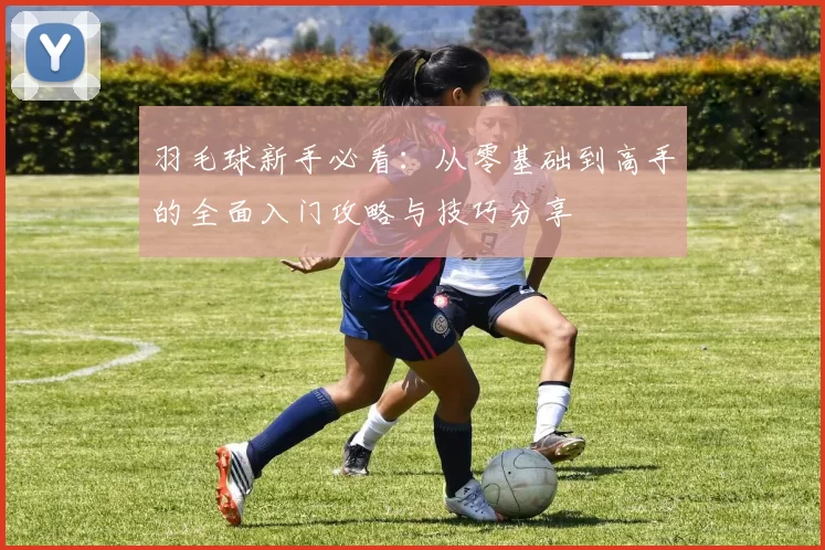 羽毛球新手必看：从零基础到高手的全面入门攻略与技巧分享