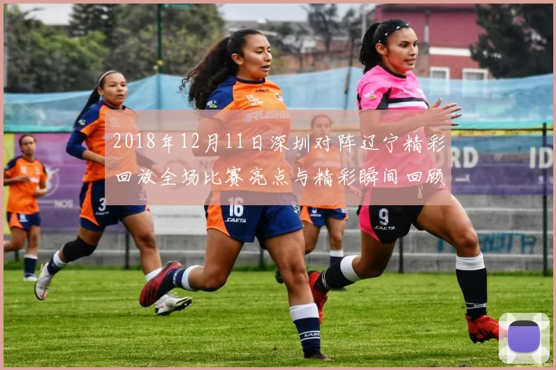 2018年12月11日深圳对阵辽宁精彩回放全场比赛亮点与精彩瞬间回顾