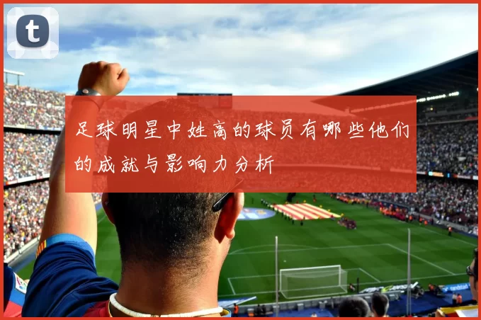 足球明星中姓高的球员有哪些他们的成就与影响力分析