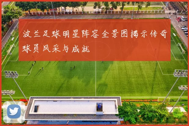 波兰足球明星阵容全景图揭示传奇球员风采与成就