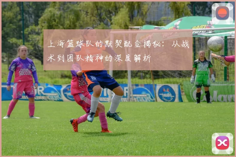 上海篮球队的默契配合揭秘：从战术到团队精神的深度解析
