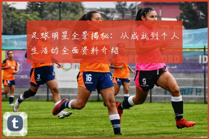 足球明星全景揭秘：从成就到个人生活的全面资料介绍